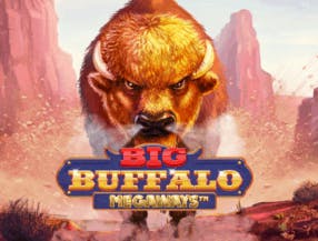 game logo by Skywind Group on wolfscasino.nl