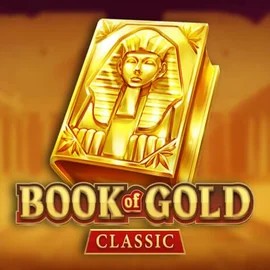 game logo by Playson on wolfscasino.nl