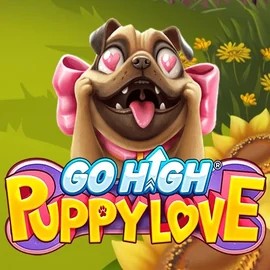 game logo by RubyPlay on wolfscasino.nl